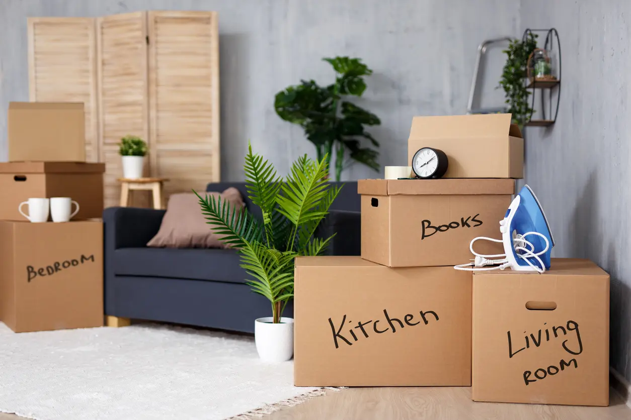 Labelled moving boxes ready for house removal