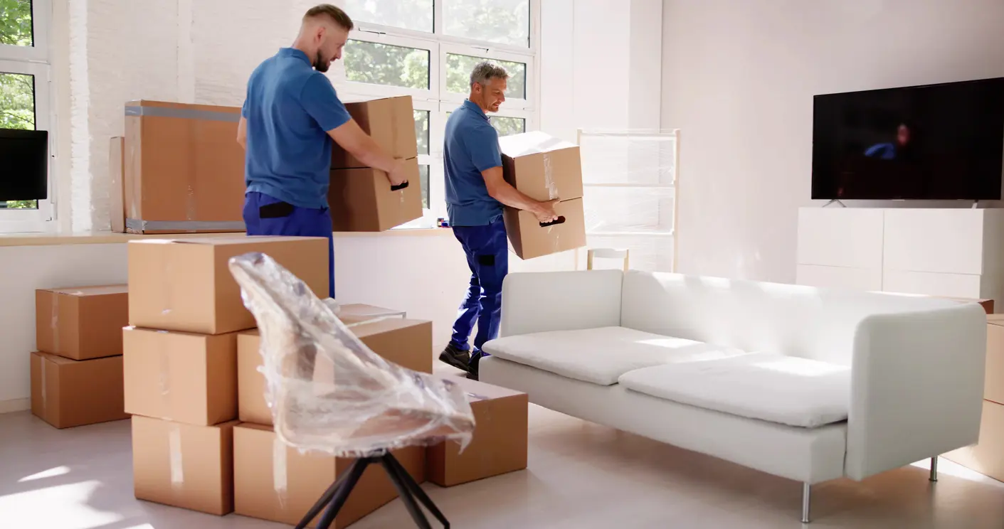 BEST Removals - Professional packing team at work