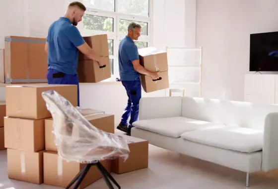 Professional removal team packing household belongings
